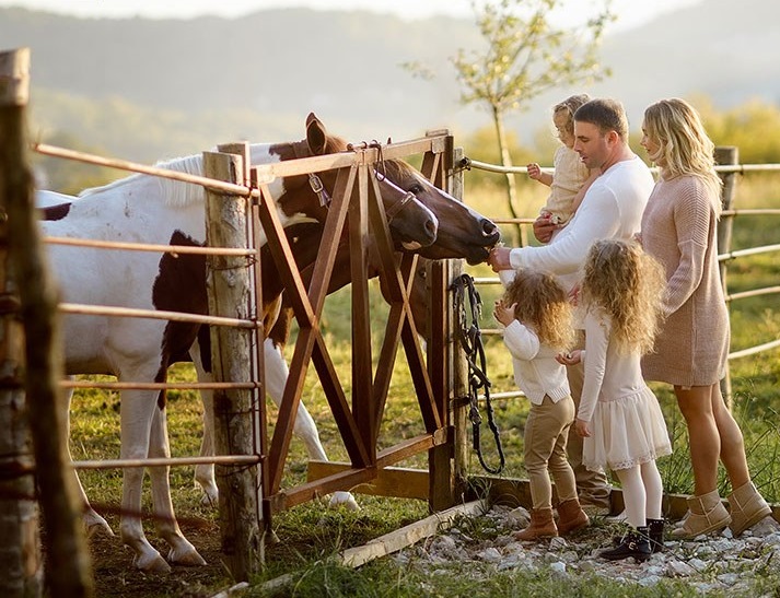 Минсельхоз России открыл приём заявок на грант «Агротуризм» — 2027 г. и последующие 2028-2029 гг.